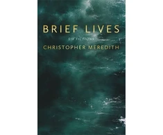 KNYGA Christopher Meredith Brief Lives