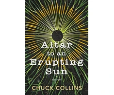 KNYGA Chuck Collins Altar to an Erupting Sun