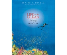 KNYGA Claire A Nivola Life in the Ocean