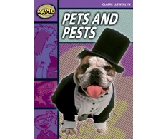 KNYGA Claire Llewellyn Rapid Reading: Pets and Pests (Stage 1, Level 1B)