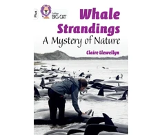 KNYGA Claire Llewellyn Whale Strandings: A Mystery of Nature
