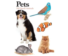 KNYGA Claudia Martin Pets