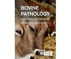 KNYGA Claus D Buergelt Bovine Pathology