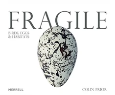 KNYGA Colin Prior Fragile: Birds, Eggs &amp; Habitats