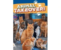 KNYGA Collins Big Cat Animal takeover!
