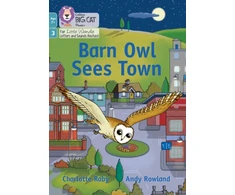 KNYGA Collins Big Cat Barn Owl Sees Town
