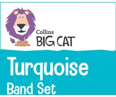 KNYGA Collins Big Cat Turquoise Band Set