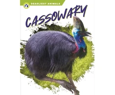 KNYGA Connor Stratton Cassowary