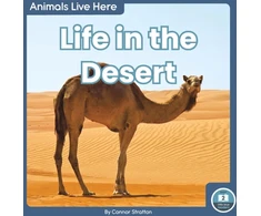KNYGA Connor Stratton Life in the Desert