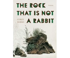 KNYGA Corey Marks Rock That is Not a Rabbit