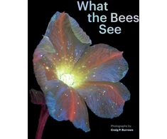 KNYGA Craig P Burrows What the Bees See