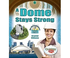 KNYGA Crystal Sikkens Dome Stays Strong