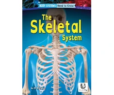 KNYGA D R Faust Skeletal System