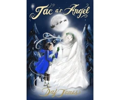 KNYGA Dafydd James Jac a'r Angel