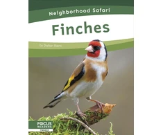 KNYGA Dalton Rains Finches