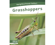 KNYGA Dalton Rains Grasshoppers