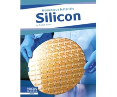 KNYGA Dalton Rains Silicis