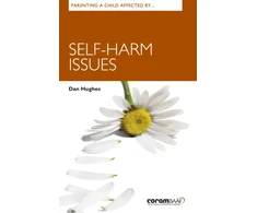 KNYGA Dan Hughes Parenting A Child Affected By Self-harm Issues