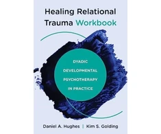 KNYGA Daniel A Hughes Relational Trauma Workbook