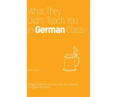 KNYGA Daniel Chaffey What They Didn't Teach You in German Class