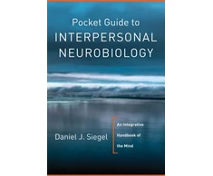 KNYGA Daniel J Siegel Pocket Guide to Interpersonal Neurobiology