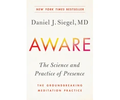 KNYGA Daniel Siegel Aware