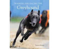 KNYGA Darren Morris Training and Racing the Greyhound
