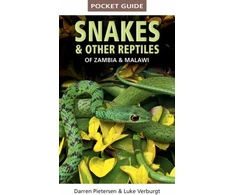 KNYGA Darren Pietersen Pocket Guide to Snakes &amp; Other Reptiles of Zambia and Malawi
