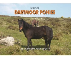 KNYGA Dartmoor Pony Society Spirit of Dartmoor Ponies