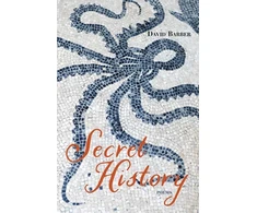 KNYGA David Barber Secret History