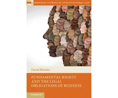 KNYGA David Bilchitz Fundamental Rights and the Legal Obligations of Business