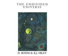 KNYGA David Bohm Undivided Universe