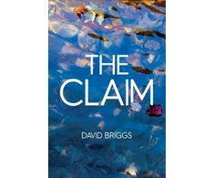 KNYGA David Briggs Claim