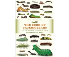 KNYGA David G James Book of Caterpillars
