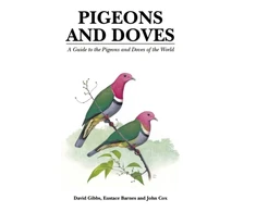 KNYGA David Gibbs Pigeons and Doves