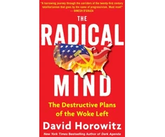 KNYGA David Horowitz Course of Destruction