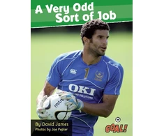 KNYGA David James Very Odd Sort of Job