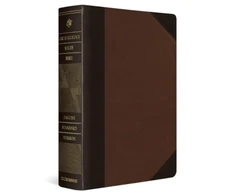 KNYGA David L Adams ESV Archaeology Study Bible