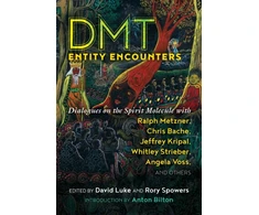 KNYGA David Luke DMT Entity Encounters