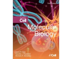 KNYGA David P Clark Molecular Biology