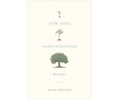 KNYGA David Powlison How Does Sanctification Work?