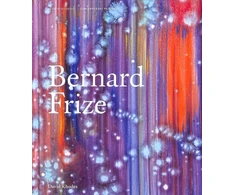 KNYGA David Rhodes Bernard Frize