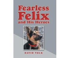 KNYGA David Volk Fearless Felix and His Heroes