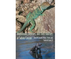 KNYGA David Wentworth Lazaroff Amphibians, Reptiles, and Their Habitats at Sabino Canyon