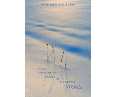 KNYGA David Williamson Through Disassembled Houses of Perfect Stones