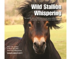 KNYGA Dawn Westcott Wild Stallion Whispering