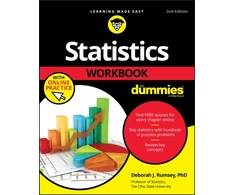 KNYGA Deborah J Rumsey Statistics Workbook For Dummies with Online Practice