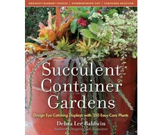 KNYGA Debra Lee Baldwin Succulent Container Gardens