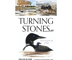 KNYGA Declan Mccabe Turning Stones