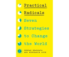 KNYGA Deepak Bhargava Practical Radicals